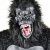 Profile Picture of Susan Gourley (@susansgourley) on Pinterest