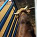 Profile Picture of Curly Kt (@cody.turman.946) on Facebook