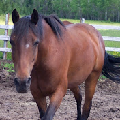 Profile Picture of Kim Mac (@bunnikins62) on Youtube