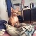 Profile Picture of Bonnie Hernandez (Jody) (@bonnie.hernandez.37604) on Facebook