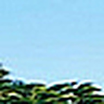 Profile Picture of ivy smith (@yylikeu) on Flickr