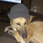 Jacque Daniels - Instagram Profile Picture of Jacque Daniels (@jacque._daniels) on Instagram