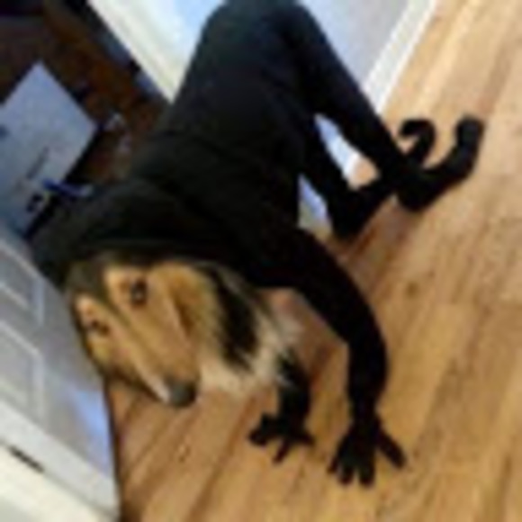 Profile Picture of Renee Pelland (@reneepel25) on Poshmark