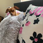 Profile Picture of Meghann McKiernan Rodriguez (@meghannrodriguez) on Instagram