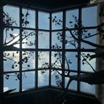 Profile Picture of Hailey Pryor (@hailey_pryor03) on Instagram
