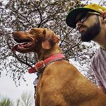 Profile Picture of Dan Wise (@_danwise_) on Instagram