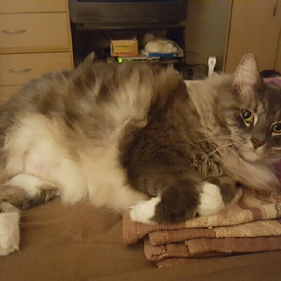 Profile Picture of Constance Bailey (@connieb791) on Poshmark