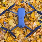 Profile Picture of David Youngblood (@dyoungblood71) on Instagram