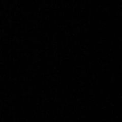 Darnell Darnell - Tiktok Profile Picture of Darnell Darnell (@@darnelldarnell1) on Tiktok