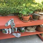 Profile Picture of Joemama (@joespellacy) on Instagram