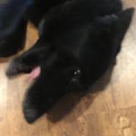 Profile Picture of Adam Holloway (@bestglazna) on Instagram