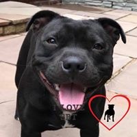 Profile Picture of Chrissy Palmer (@chrissy-palmer-2) on Quora