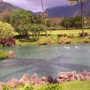 Profile Picture of Jan Martin (@crazywomanjan) on Myspace