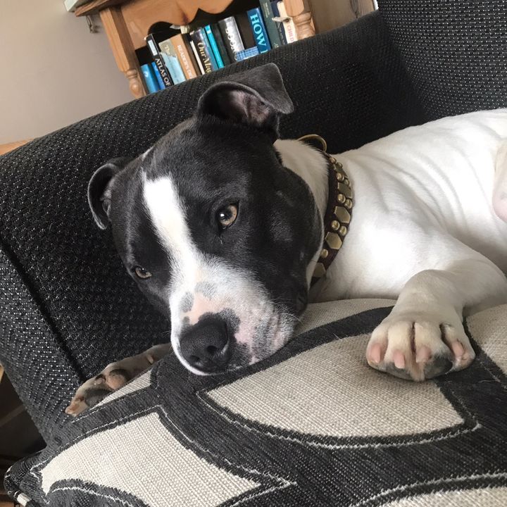 Profile Picture of stuarttcba (@stuarttcba) on Tiktok