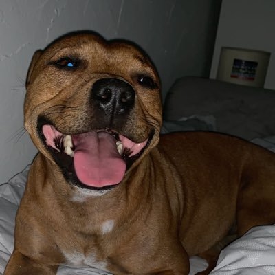 Profile Picture of Tony Jay Mann (@TonyJayMann1) on Twitter