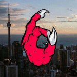 Profile Picture of Matthew Soares (@matthewsoaares) on Instagram