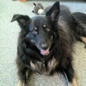 Profile Picture of Kevin Knuth (@KevinKnuth1) on Youtube