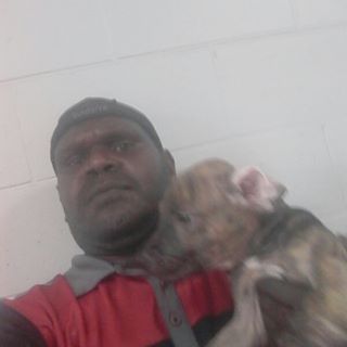 Profile Picture of Laurie Wilfred (@laurie.wilfred.52) on Facebook