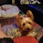 Scott Saxton - Facebook Profile Picture of Scott Saxton (@scott.saxton.104) on Facebook