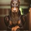 Profile Picture of Eugene Brumfield (@@synful62) on Tiktok