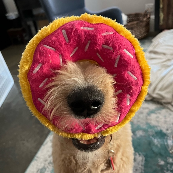 Profile Picture of Andrew Spears (@elchampion) on Poshmark