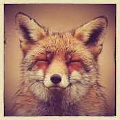 Profile Picture of Julia Nicholson (@julianicholson1995) on Youtube