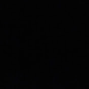 Profile Picture of James Torelli (@jamestorelli4037) on Youtube