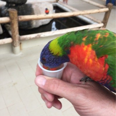 Profile Picture of Tom Groh (@groh_tom) on Twitter