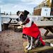 Profile Picture of Keith Bayliss (@nimitz4419) on Pinterest