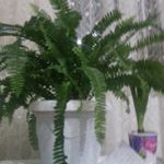 Profile Picture of ömer doggan (@meggetron) on Instagram