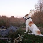 Profile Picture of Daniel Koopman (@daniel.koopman.3) on Instagram