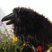 Profile Picture of Dakota Raven (@dakota.raven.5) on Facebook