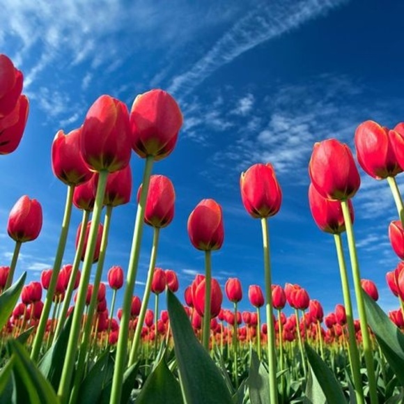 Profile Picture of Nadine Wright (@nadine_wright33) on Poshmark