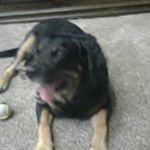 Profile Picture of Jerryreinert (@jerryreinert68) on Instagram