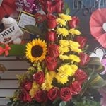 Profile Picture of Nancy Chamorro (@chamorrnancy) on Instagram