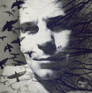 Profile Picture of Tod Salvador (@Tod-Salvador) on Facebook