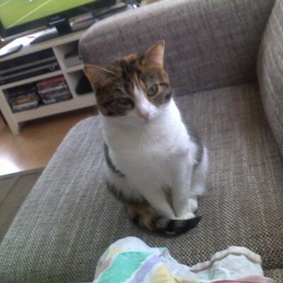 Profile Picture of Kim Burm (@KimBurm) on Twitter