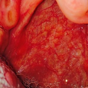 Profile Picture of Joe Stoutamire (@23therealest) on Myspace