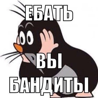 Profile Picture of Khazanov (@khazanovcom) on Twitter