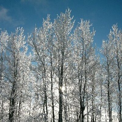 Profile Picture of Marc Larose (@norddu49_aubjoe) on Twitter