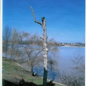 Profile Picture of Kenneth Launius (@321019737) on Myspace