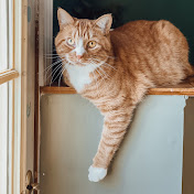 Profile Picture of Hannah Hebert (@hannahhebert2608) on Youtube