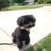 Profile Picture of Pam Randy Gill (@pam.gill.1612) on Facebook