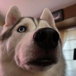 Profile Picture of Jason Bailey (@jasonbailey77) on Instagram