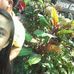 Profile Picture of Katrina Gagarin (@katrina.gagarin.391) on Facebook