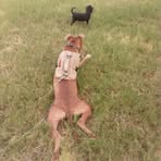 Profile Picture of Ray Gary (@Ray-Gary) on Facebook