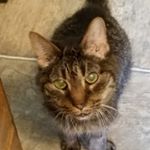 Profile Picture of Carl Lamberson (@lambersoncarl) on Instagram