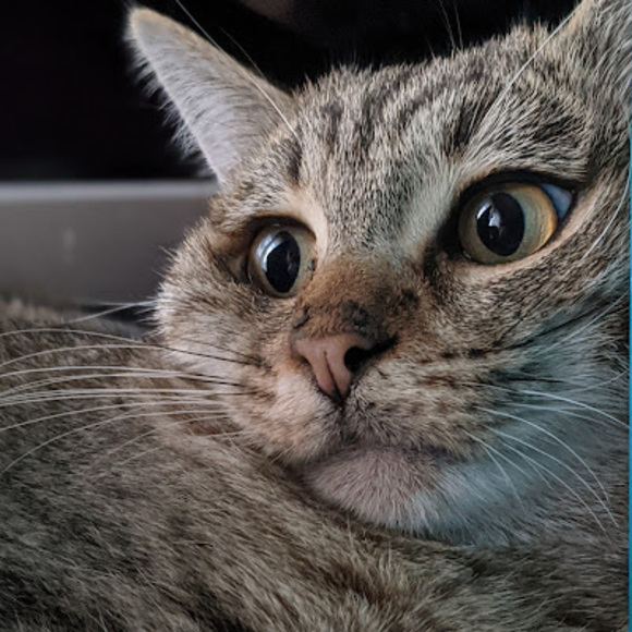 Profile Picture of Chase Callahan (@warriorchasey) on Poshmark