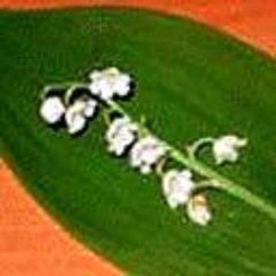 Profile Picture of David Weil (@DavidWeil8) on Twitter