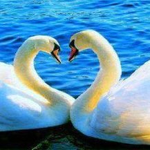 Profile Picture of Silvia Lizama (@lizama_silvia) on Twitter